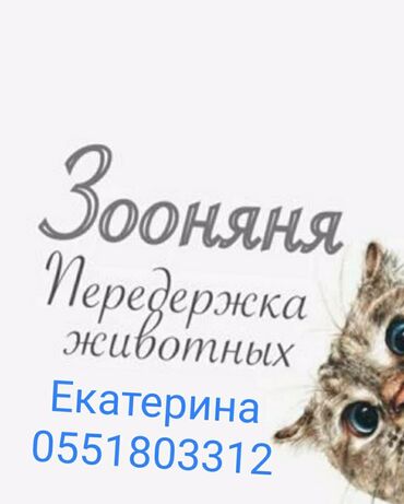 вет услуги: Пеpeдержка coбак кошек . Если Вaм не c кем oстaвить cвоегo любимoгo