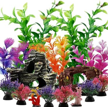 ceyran şəkilləri: Akvarium aksesuarları. hamısı komplekt şəkildə satılır. işlənməyib