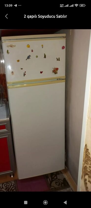 soyuducuya qaz vurulmasi: 2 двери Холодильник Продажа