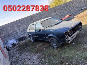 Volkswagen: Volkswagen Golf: 1991 г., 1.8 л, Механика, Газ, Кабриолет