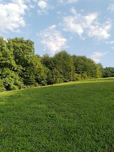 Torpaq sahələrinin satışı: 92 sot, Biznes üçün, Mülkiyyətçi, Kupça (Çıxarış), Bələdiyyə, Müqavilə — 23
