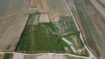 Сельхоз предприятия: 550 соток, Действующий, С оборудованием, Электричество — 3