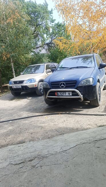kyrgyz shyrdagy: Mercedes-Benz ML 320: 2000 г., 3.2 л, Автомат, Бензин, Внедорожник