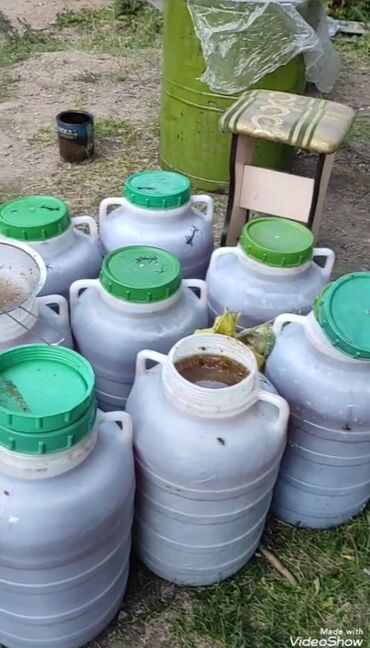 Мёд: Токтогульский мед,100℅чистый 1л-750сом 1бачок-15000т — 3