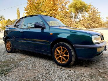 Volkswagen: Volkswagen Golf: 1994 г., 2 л, Механика, Бензин, Кабриолет — 1