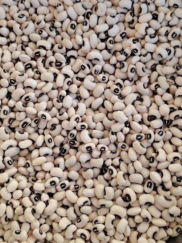 соус шаурма: Смеси бобовых: маш (зелёные бобы мунг) и черноглазая фасоль лоя