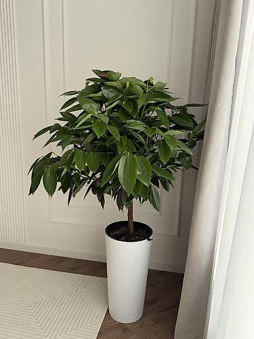 Продажа квартир: 4 комнаты, 128 м², Индивидуалка, 2 этаж, Дизайнерский ремонт — 24