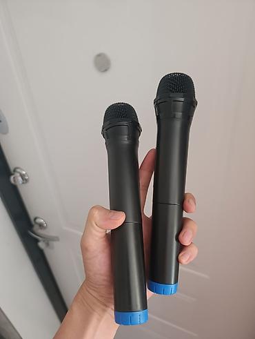 dji mini mic: Беспроводная колонка караоке аренда на прокат чемодан с выдвижной — 6