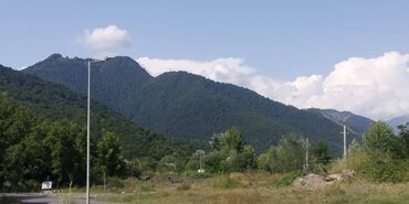 təbiət mənzərəsi: 5 sot, Tikinti, Mülkiyyətçi, Kupça (Çıxarış)