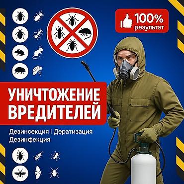 Уборка помещений: Предлагаем услуги по уничтожению различных видов вредителей. В спектр — 1