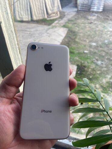 Apple iPhone: IPhone 8, Б/у, 64 ГБ, 100 %