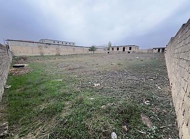 lokbatanda ev satilir: 27 sot, Tikinti, Mülkiyyətçi, Kupça (Çıxarış) — 4
