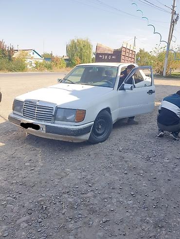 мерс 124 бак: Mercedes-Benz W124: 1990 г., 2.3 л, Кол менен иштөөчү, Газ, Седан — 1