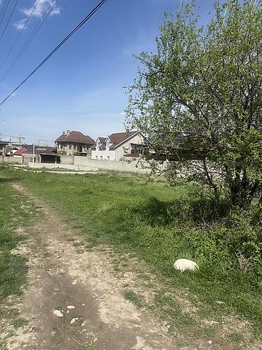 помогу продать: 5 соток, Для бизнеса, Договор купли-продажи — 3