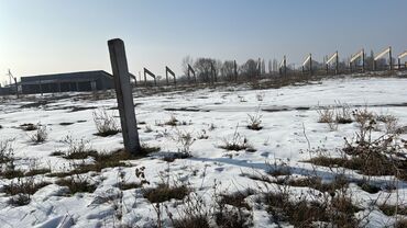 село тон: 30 соток, Для сельского хозяйства, Красная книга