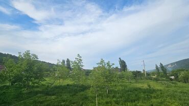 Torpaq sahələrinin satışı: 40 sot, Tikinti, Mülkiyyətçi, Kupça (Çıxarış) — 5