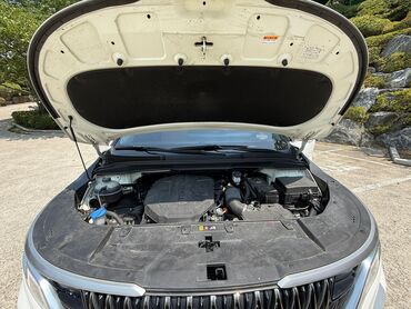 Kia: Kia Carnival: 2020 г., 2.2 л, Автомат, Дизель, Минивэн — 15