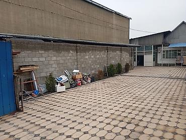 Продажа коттеджей и домов: Продаю 2 дома на одном участке, первая линия, можно под бизнес. Общая — 29