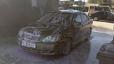 с4 2: Toyota Corolla: 2003 г., 1.8 л, Автомат, Бензин, Седан — 1