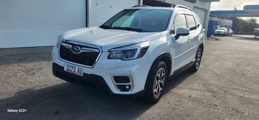 форесте: Subaru Forester: 2021 г., 2.5 л, Вариатор, Бензин, Кроссовер