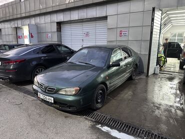 Nissan: Nissan Primera: 2000 г., 1.6 л, Механика, Бензин, Хэтчбэк