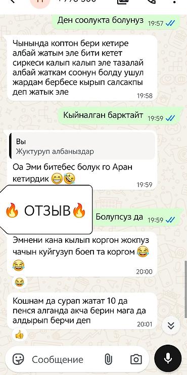 чп анта ош: 🌱Бит сиркеге каршы оригиналдуу 🧴 "АЙША ЭКО СПРЕЙ" 100% табигый — 6