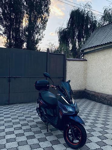 Скутеры: 🔥 SAMURAI BENALI 180 КУБОВ 🔥 Продаю свой Samurai Benali 180cc в — 35