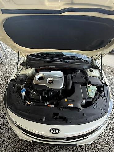 Kia: Kia K5: 2018 г., 2 л, Автомат, Гибрид, Седан — 18