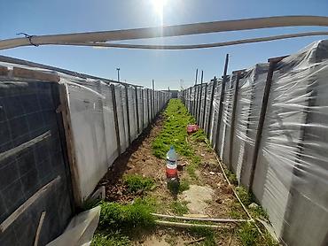 Torpaq sahələrinin satışı: Kənd təsərrüfatı — 9