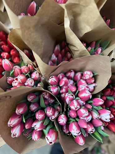 Букеты из живых цветов: Тюльпаны оптом только до 6марта ! Свежие хрустящие сортовые — 4