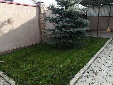 Дизайн, проектирование: Сеем газоны Установка автополива Установка капельного полива Услуги — 4