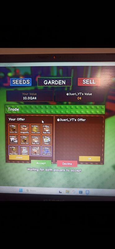 доска для рисования цена: Аккаунт в игре Grow a garden Без почты цена договорная скамеры не