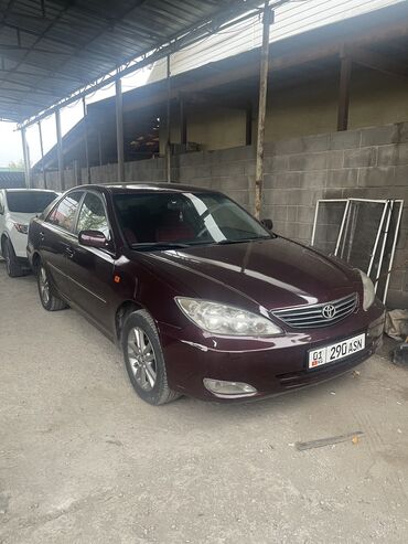 машина ала бука: Toyota Camry: 2003 г., 2.4 л, Автомат, Бензин, Седан