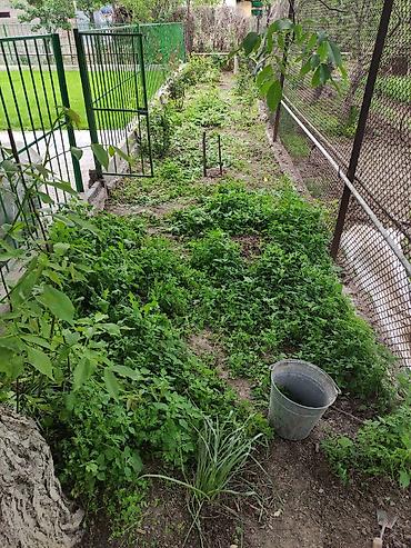 Дворники, садовники: Я Садовник все виды работы Уборка огорода весенний осенний — 7