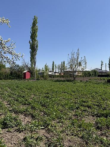 Үйлөр: 📍В селе Кызыл-Туу продается дом на участке 14.5 соток. 🏡Дом без — 4
