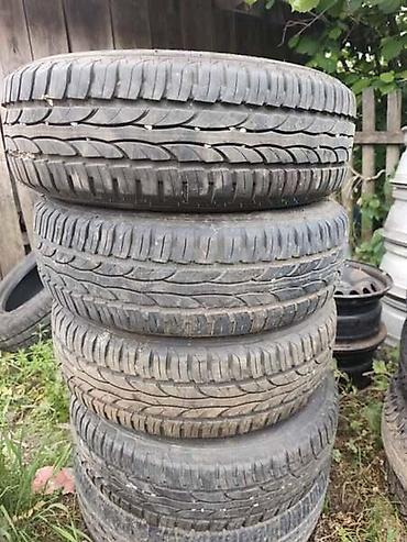 twingo: SAVA 175/65 R14 LETNJA | Gume idu sa felnama citroen,pezo — 3