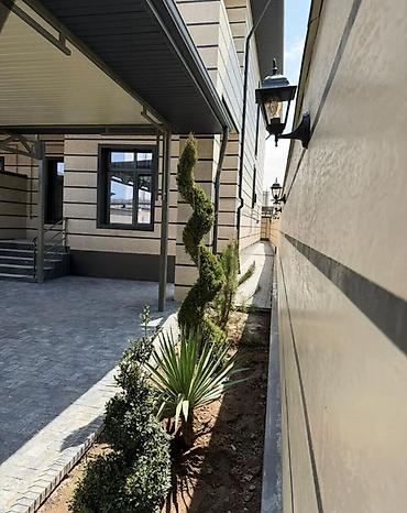 2 комнаты, 240 м², 2 соток, Кок-Жар мкр Холодная вода at lalafo.kg 2 комнаты, 240 м², 2 соток, Кок-Жар мкр Холодная вода