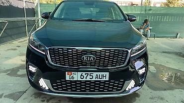 дерево w210: Kia Sorento: 2019 г., 2.4 л, Автомат, Бензин, Кроссовер — 1