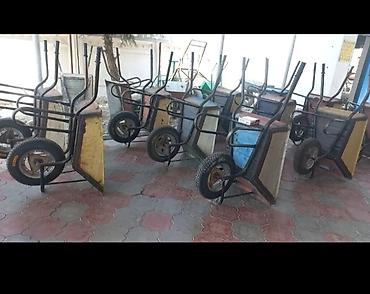 Другие животные: Сдам в аренду звоните — 2