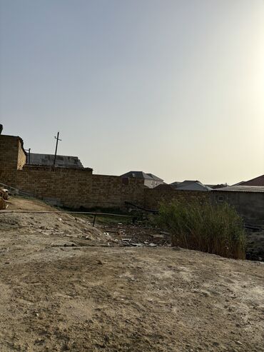 saray qesebesi: 4 sot, Bələdiyyə