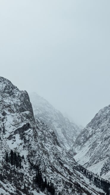 Google: Google Pixel 7 Pro, цвет - Черный, eSIM — 10