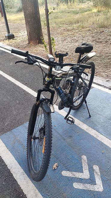single speed: Горный велосипед, Рама XL (180 - 195 см), Новый — 2