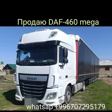 автомат грузовой: Тягач, DAF, 2017 г., Шторный