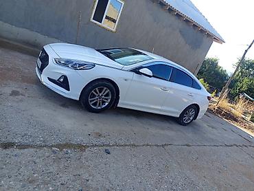 Транспорт: Hyundai Sonata: 2019 г., 0.2 л, Автомат, Газ, Седан — 9