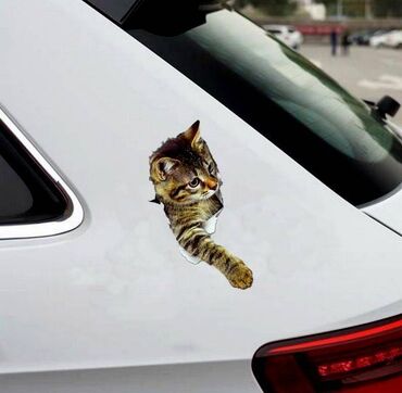 стикер на авто: Наклейка, стикер 3D с изображением кошки, размер 25 см х 19 см