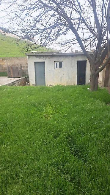 20 ci sahədə satilan evlər: 12 sot, Tikinti, Kupça (Çıxarış) — 3