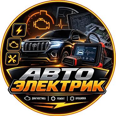 Автоэлектрик выезд ОШ— профессиональные услуги по электрооборудованию
