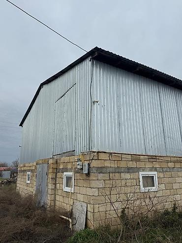 аренда квартира: Sabirabad rayonu, Bakl Sabirabad maqistral yolun üstündə, bir hektar — 2