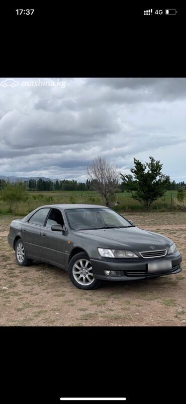 виндом машина: Toyota Windom: 2001 г., 3 л, Автомат, Бензин, Седан