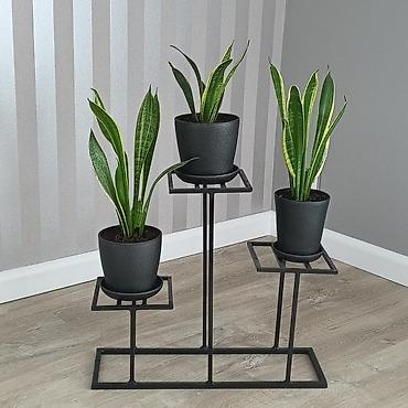 Полки, этажерки для цветов: Полка, этажерка для цветов, Железо — 2